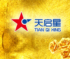 深圳市天啟星投資咨詢有限責任公司 品牌VIS設(shè)計