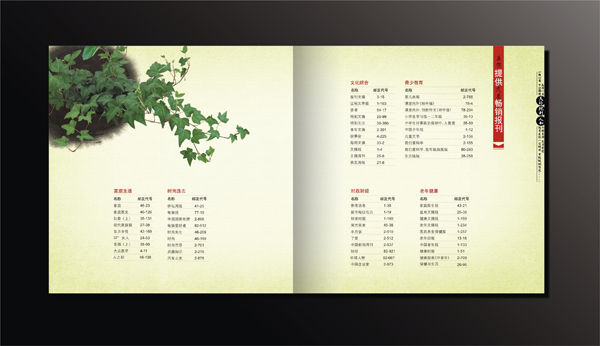 政府企業(yè)畫冊宣傳設(shè)計(jì)