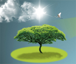 多媒體互聯(lián)網(wǎng)設(shè)計(jì),LED光電公司網(wǎng)站設(shè)計(jì)