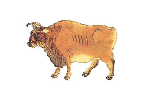 世紀(jì)證券有限責(zé)任公司 展位策劃設(shè)計