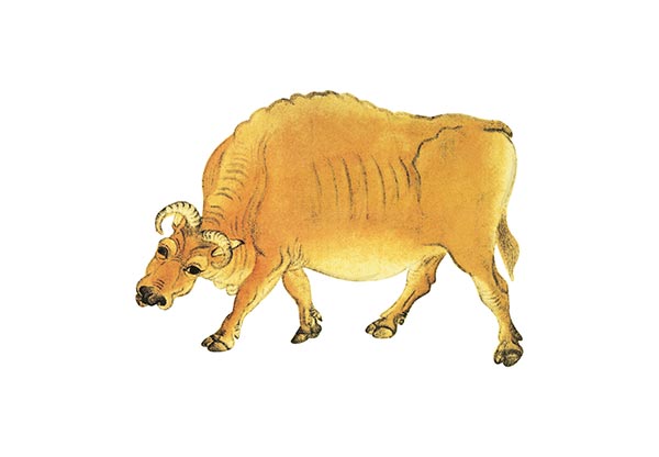 展覽廣告設(shè)計