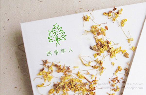 深圳標(biāo)志設(shè)計(jì)公司 四季伊人美容會(huì)所 美容會(huì)所logo設(shè)計(jì)