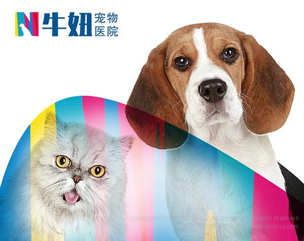 醫(yī)院醫(yī)療機構(gòu)標志設(shè)計,醫(yī)藥logo設(shè)計 廣州市牛妞寵物醫(yī)院 企業(yè)商標設(shè)計